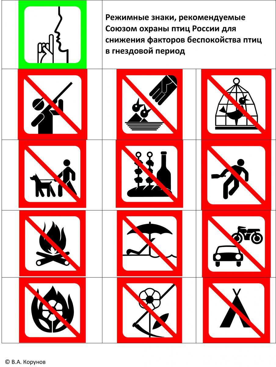 Запреты в детском саду. Природоохранные знаки. Запрещающие знаки в лесу. Запрет в лес значок. Знаки охраны природы.